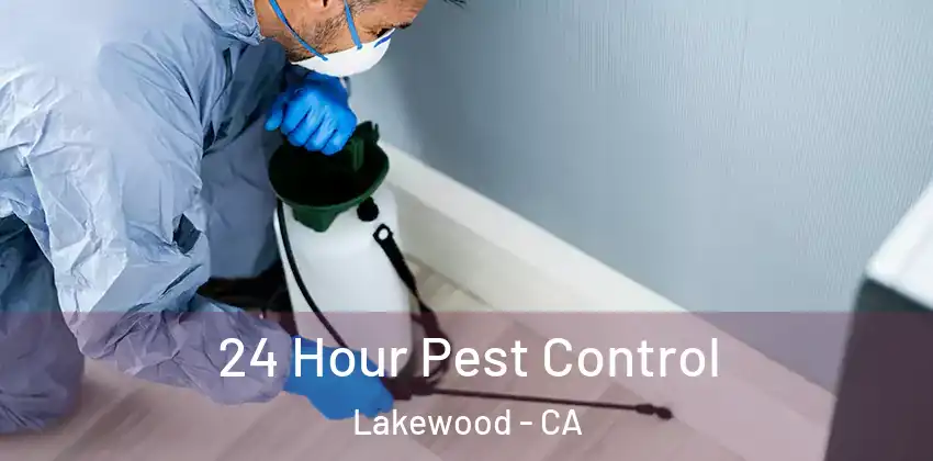  24 Hour Pest Control Lakewood - CA