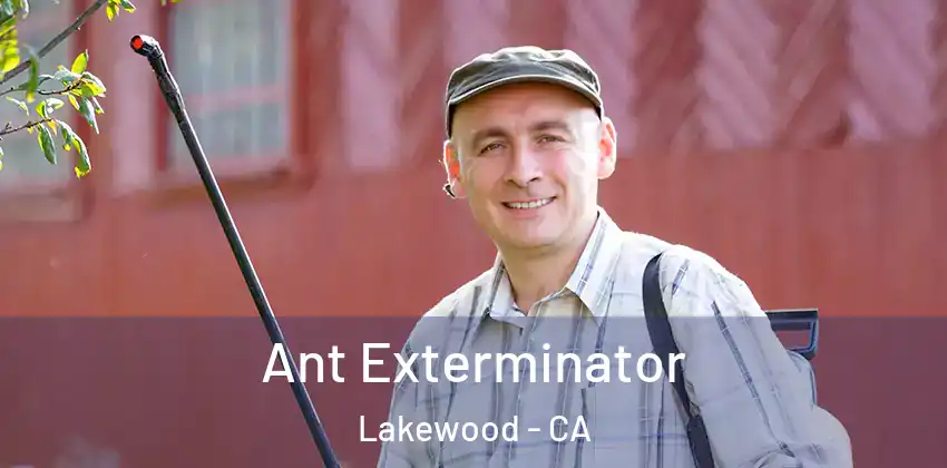  Ant Exterminator Lakewood - CA