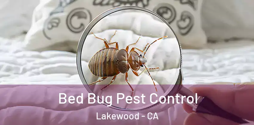  Bed Bug Pest Control Lakewood - CA
