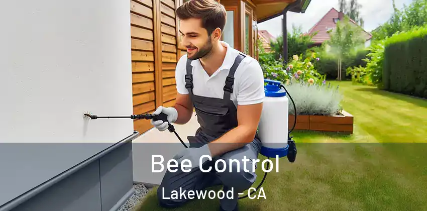  Bee Control Lakewood - CA