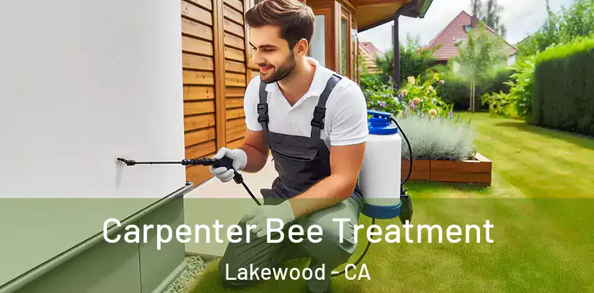  Carpenter Bee Treatment Lakewood - CA