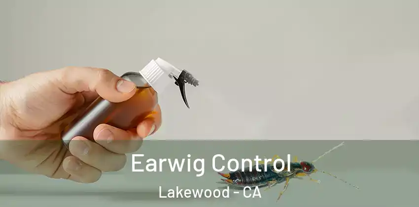  Earwig Control Lakewood - CA