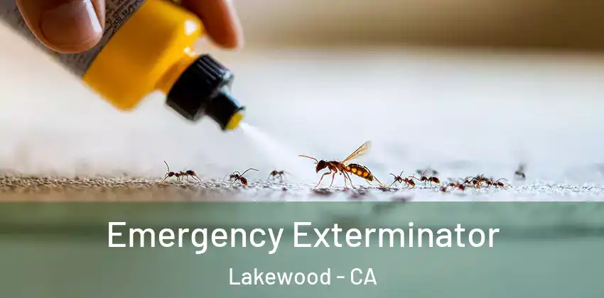  Emergency Exterminator Lakewood - CA