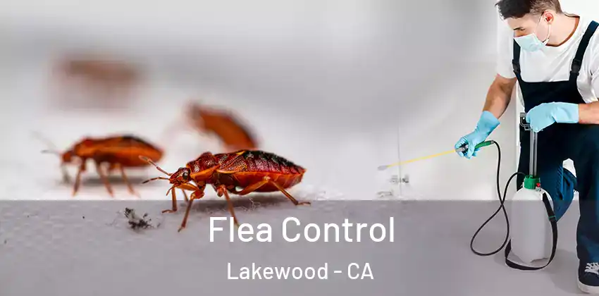  Flea Control Lakewood - CA