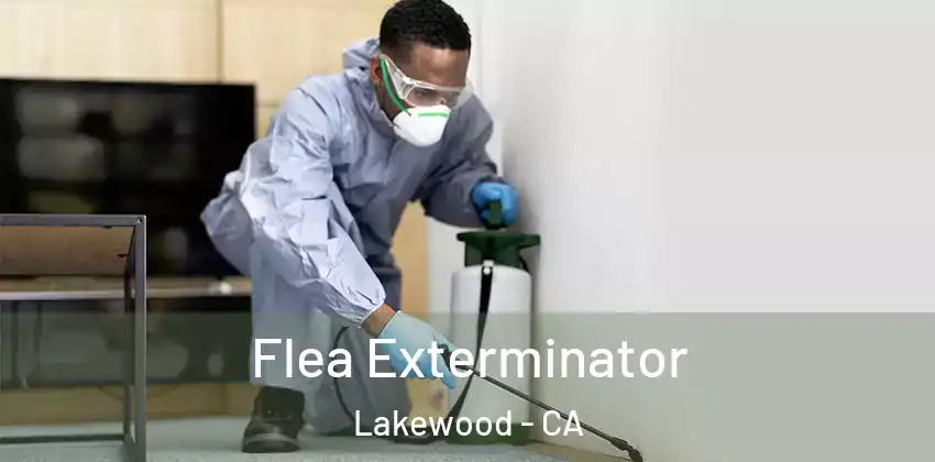  Flea Exterminator Lakewood - CA
