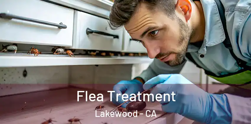  Flea Treatment Lakewood - CA