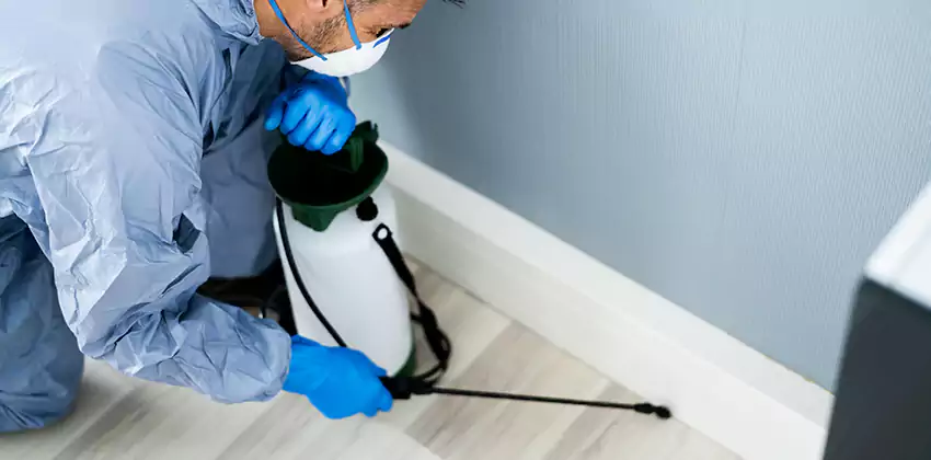 Anay Treatment for Bedrooms Lakewood, CA