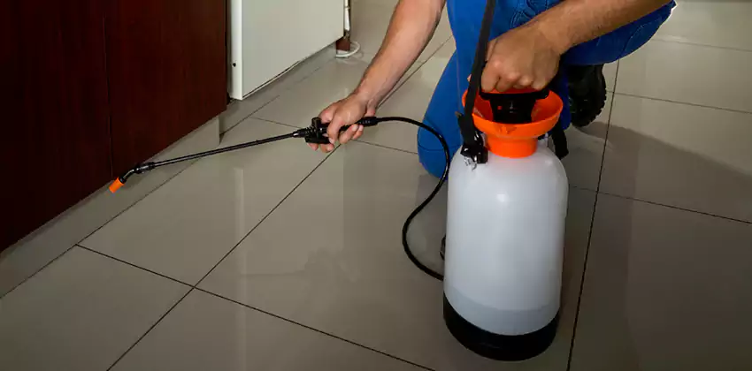 Commercial Pest Extermination for Offices in Lakewood, CA