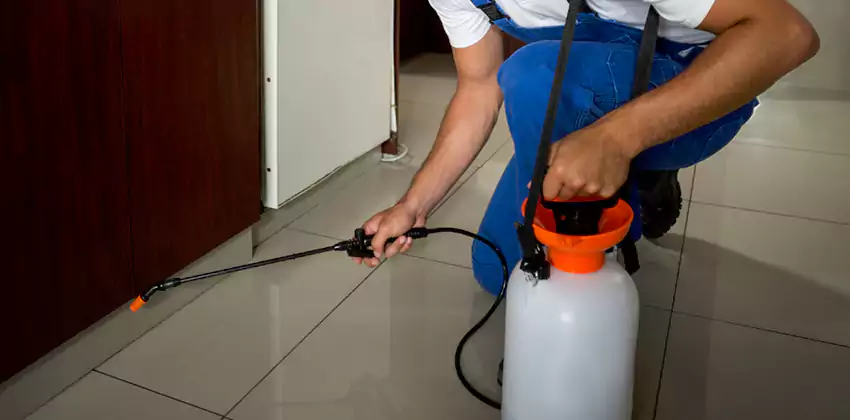 Commercial Flea Exterminator Company in Lakewood, CA