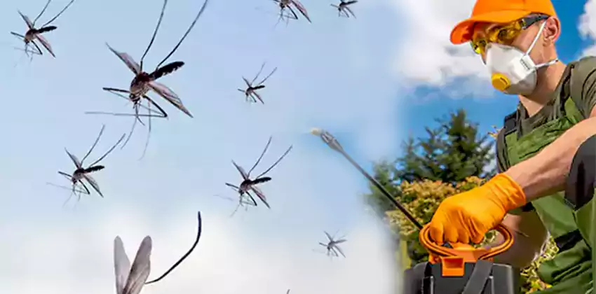Commercial Mosquito Control Services in Lakewood, CA