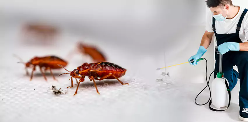 flea-control in Lakewood, CA