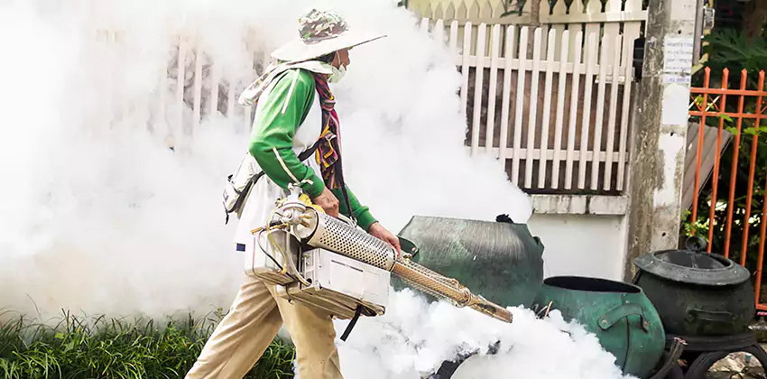 mosquito-exterminator in Lakewood, CA