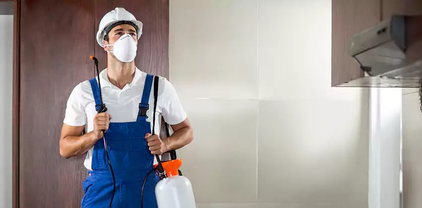 pest-inspection in Lakewood, CA