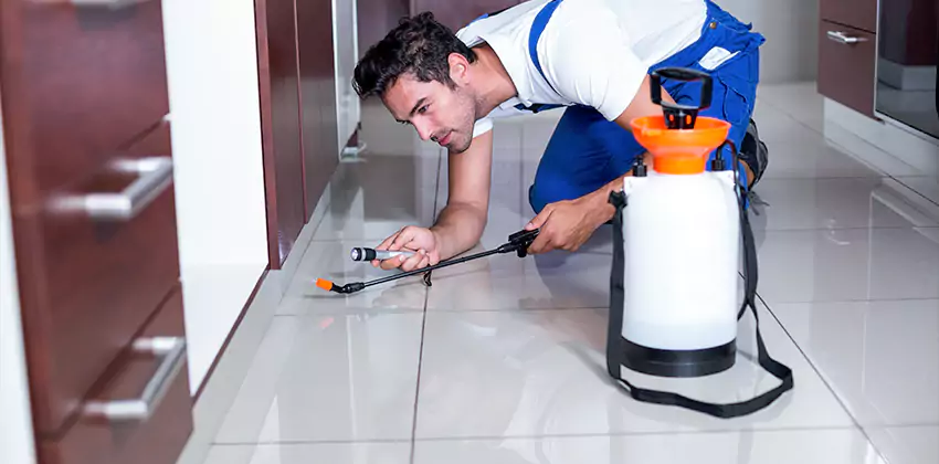 termite-exterminator in Lakewood, CA