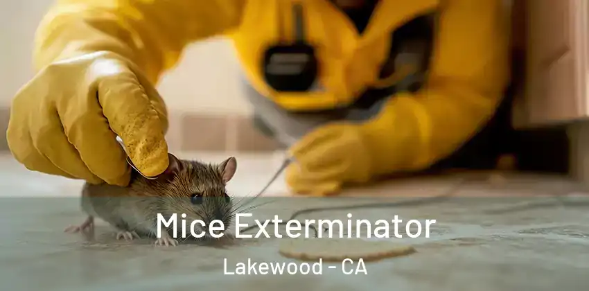  Mice Exterminator Lakewood - CA