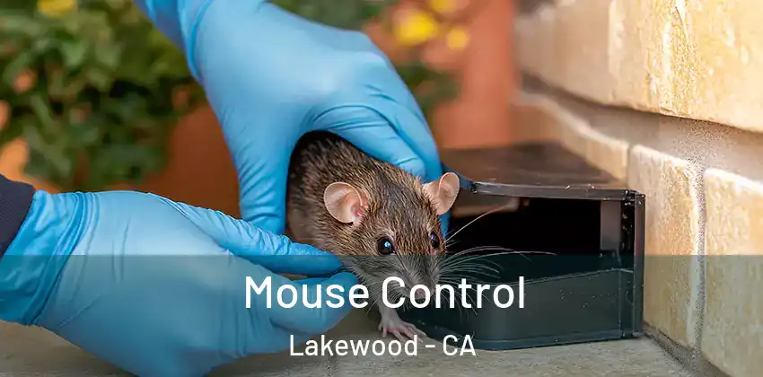  Mouse Control Lakewood - CA