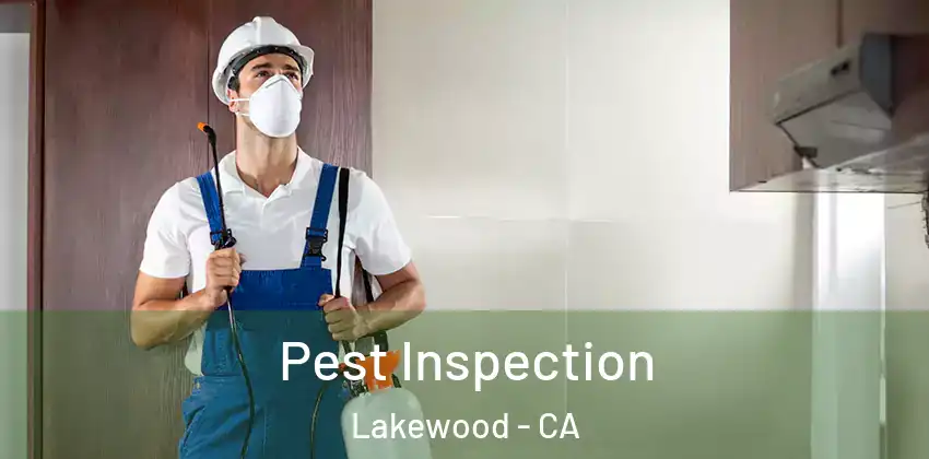  Pest Inspection Lakewood - CA