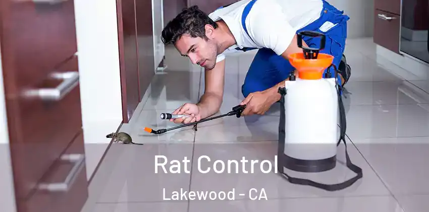  Rat Control Lakewood - CA