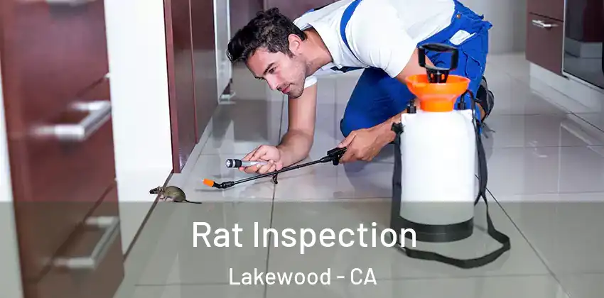  Rat Inspection Lakewood - CA