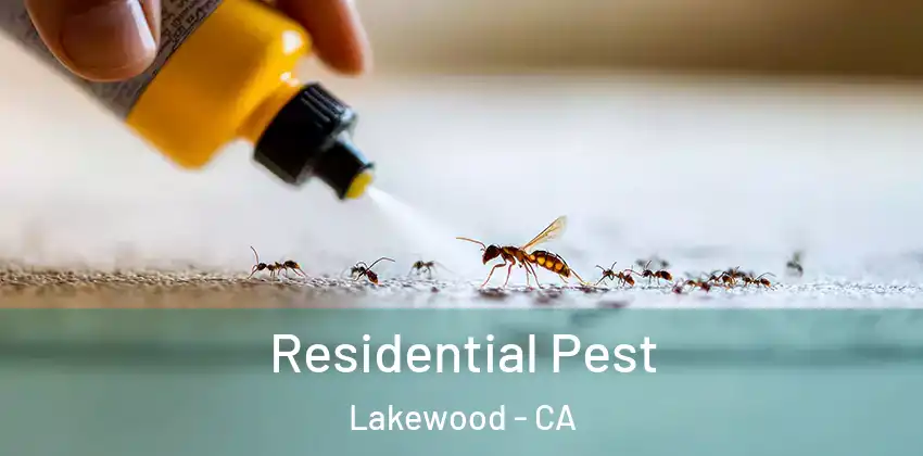  Residential Pest Lakewood - CA