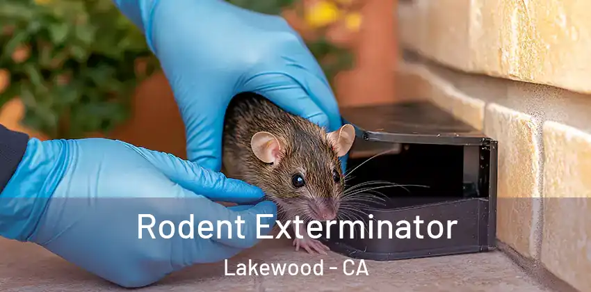  Rodent Exterminator Lakewood - CA