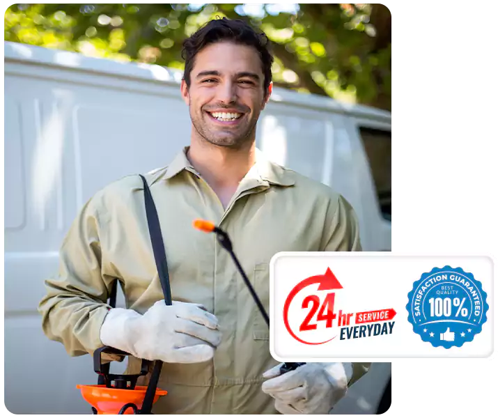 About Ant Exterminator Lakewood