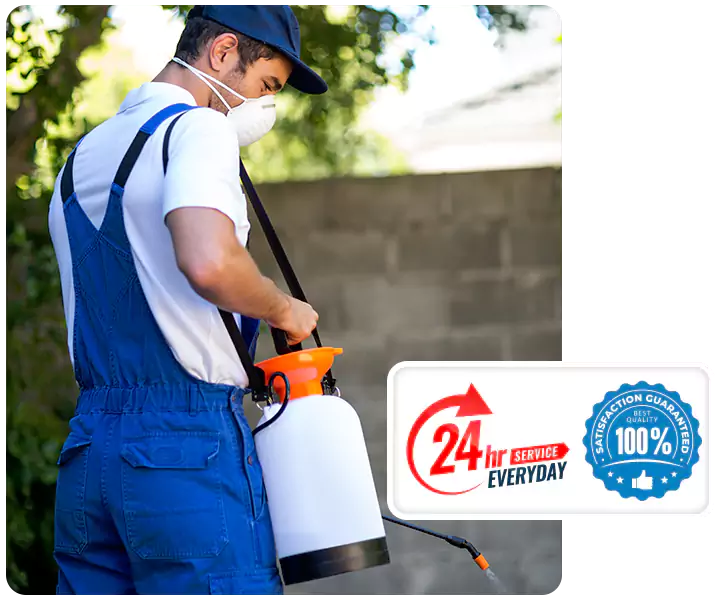 About Emergency Exterminator Lakewood