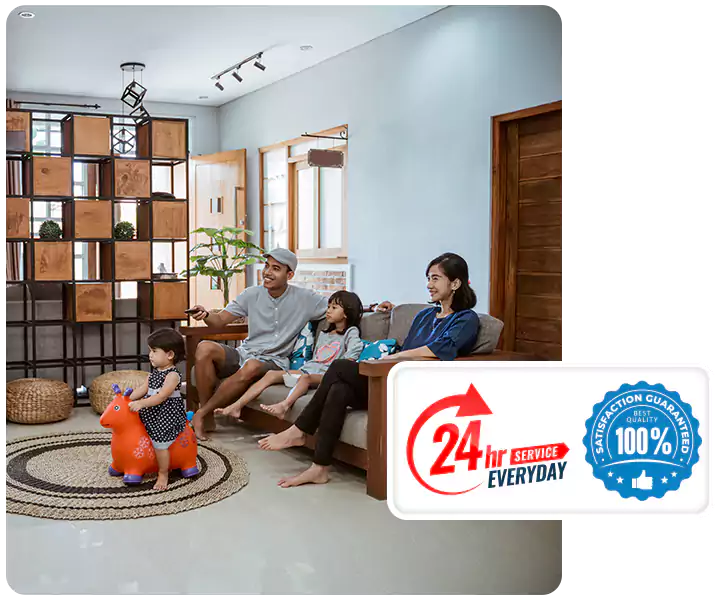 About Spider Pest Control Lakewood