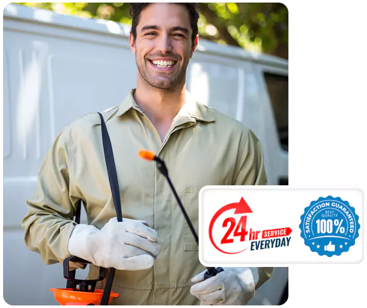 About Thrips Treatment Lakewood