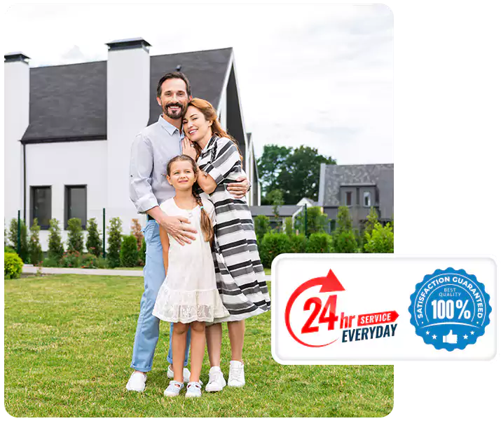 About Wasp Pest Control Lakewood