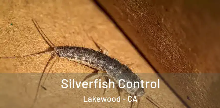  Silverfish Control Lakewood - CA
