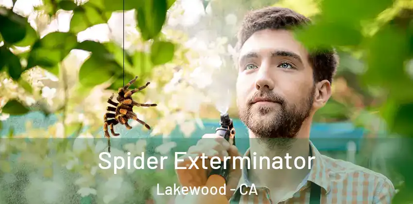 Spider Exterminator Lakewood - CA