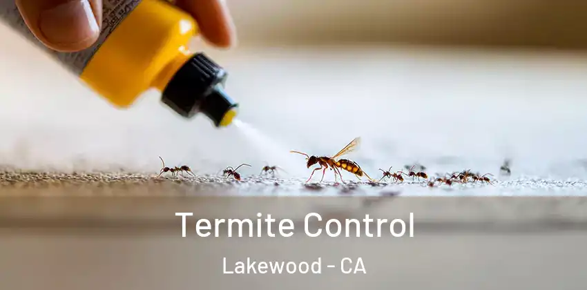  Termite Control Lakewood - CA