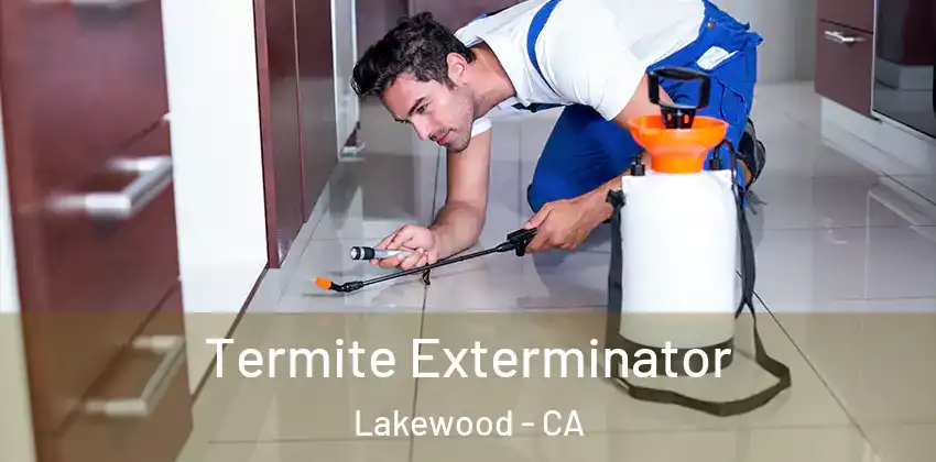  Termite Exterminator Lakewood - CA