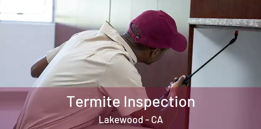  Termite Inspection Lakewood - CA