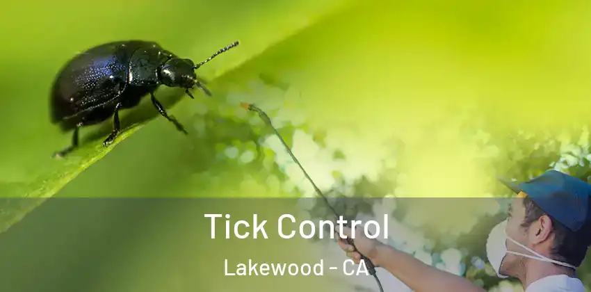  Tick Control Lakewood - CA