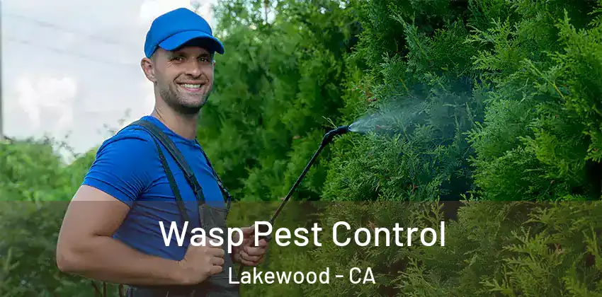  Wasp Pest Control Lakewood - CA