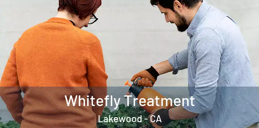  Whitefly Treatment Lakewood - CA