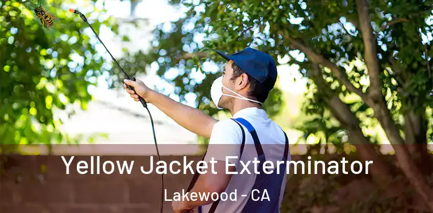  Yellow Jacket Exterminator Lakewood - CA